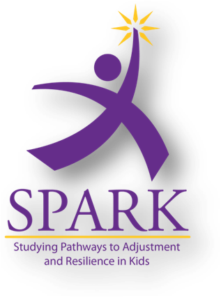 Studying Pathways to Adjustment and Resilience in Kids